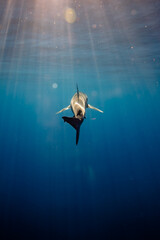 Galapagos Shark Tail Fin in Blue Water Sun Rays
