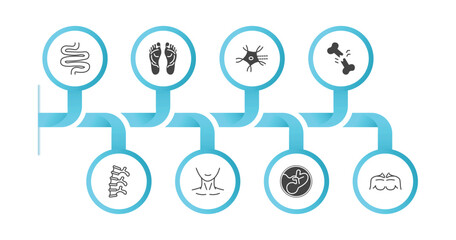 editable filled icons with infographic template. infographic for human body parts concept. included small intestine, human footprints, neuron, broken bone, human spine, neck, fetus, men chest icons.