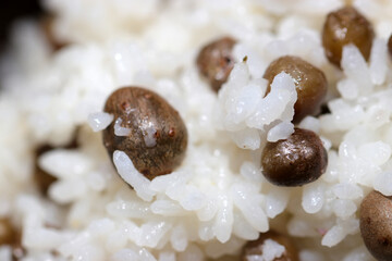 自然薯（ヤマノイモ）の子供、ムカゴの実と炊いたお米のマクロ写真。