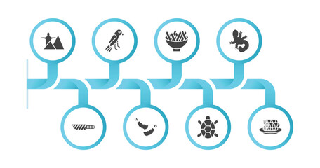 editable filled icons with infographic template. infographic for culture concept. included rio de janeiro, aw on a branch, beef and garlic, gecko top view shape, knife in sheath, fried shrimp,