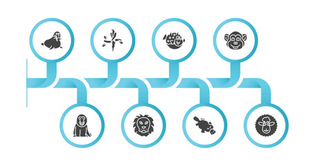 editable filled icons with infographic template. infographic for animals concept. included walrus, aw, globe fish, chimpanzee, baboon, lion, platypus, female sheep icons.