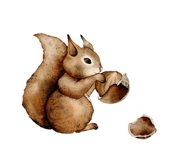 Squirrels and hazelnuts clipart, cute animal character illustration for children. Funny adorable squirrel and nuts cartoon for kids. Isolated clipart.