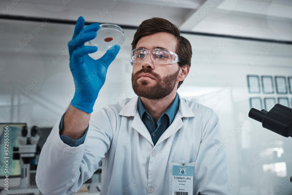 Poster science, blood and sample with a doctor man at work in a laboratory for analysis or research. medica