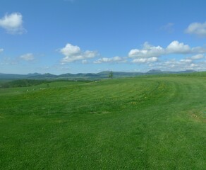 green field and blue sky