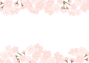 Fototapeta na wymiar 桜のイラストフレーム