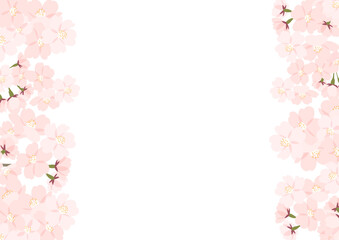 桜のイラストフレーム