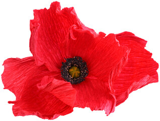 Isolated single poppy paper flower made from crepe paper