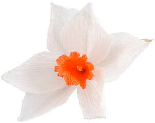 Isolated single paper flower daffodil made from crepe paper - 572556581