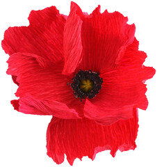 Isolated single poppy paper flower made from crepe paper - 572556594