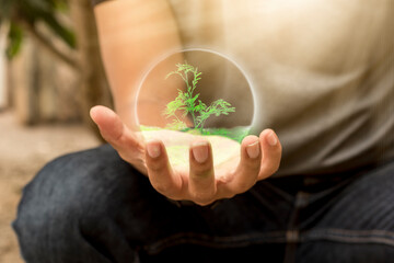 Hand touching green small plant hologram, science environment concept in conjunction with modern technology.