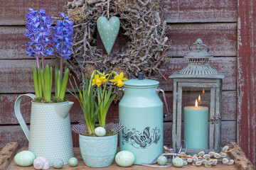 Garten-Arrangement mit Narzisse, lila Hyazinthe, vintage Milchkanne und Laterne