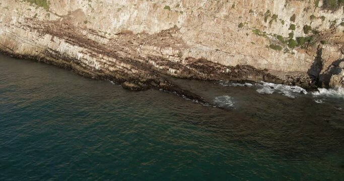 South Africa Large Colony of Seals swimming in ocean and laying on the rocks at Robberg Nature Reserve