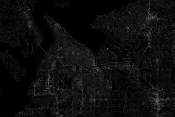 Stylized map of the streets of Tacoma (Washington, USA) made with white lines on black background. Top view. 3d render, illustration