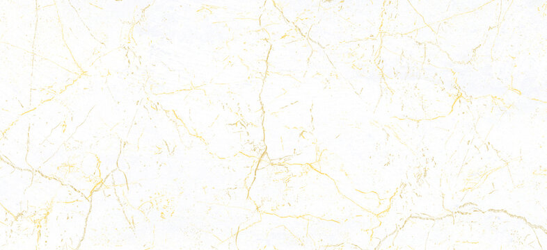 Vector gold marble realistic texture pattern background. Luxury white