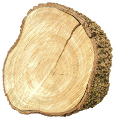 Wooden nature cutting board from tree trunk.