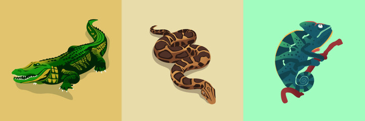 Set Collection of Reptile Animals Crocodile, Snake, Chameleon, 
