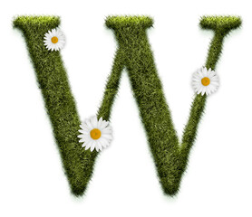 Spring Grass Flower alphabet uppercase letters with realistic grass texture and white flower. This is a part of a set which also includes lowercase letters, numbers, symbols, shapes, and frames.