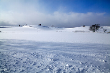 雪原と影（上富良野町）