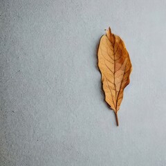 autumn leaves on the ground. Generative AI.