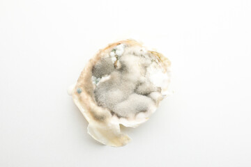 Food with mold on white background, close up