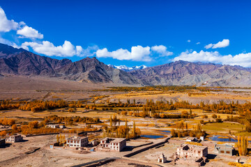 Landscape of village in desert territory. The countryside of Leh Ladakh,India. Blue sky with clouds. A small village with snow cap mountain in the background. Colorful foliage of cedar tree in winter.
