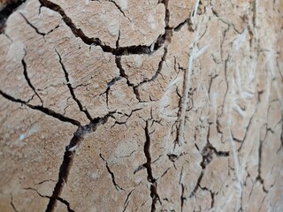 A dry and cracked clay wall, Macro shot of broken clay wall background, dry cracked soil texture,