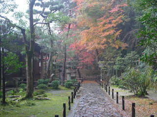 path in Kyoto