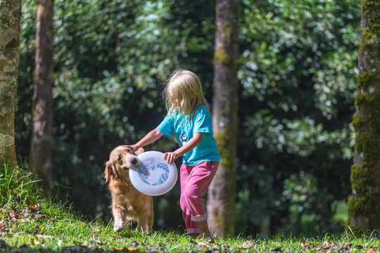 Little girl playing frisbee with her dog in park, Bedugul, Bali, Indonesia