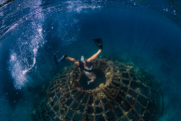 Man diving underwater, Perebutan, Bali, Indonesia