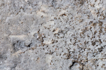 Primer plano de sal cristalizada en la costa. Cristal de sal formado por la evaporación de un charco costero sobre las rocas de la costa del mar Jónico, costa de Pizzo en Italia.