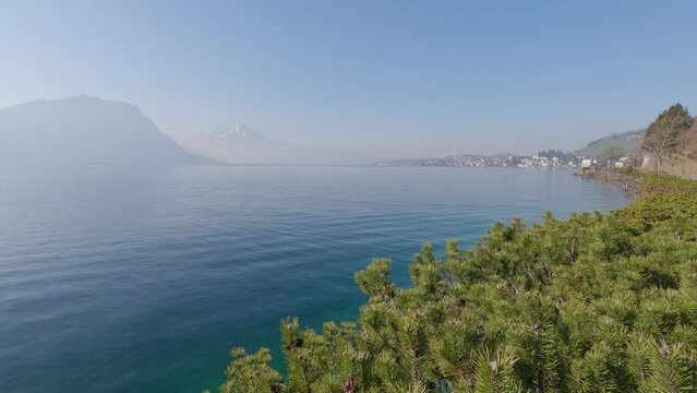 Set against a backdrop of majestic mountains, the tranquil surroundings of the lake Lucerne in Switzerland, including its vibrant and colorful flora, lush green grass, and serene turquoise waters.