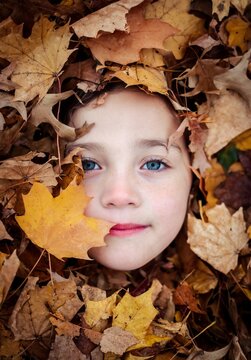 Young Girl Smiling Tranquilly in a Pile of Leaves Fall Sprite