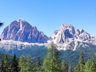 trees and peak on mountains