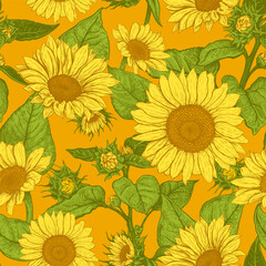 Fototapeta na wymiar Beautiful seamless pattern with hand drawn lush Sunflowers flowers on orange background. Vector illustration of Helianthus flower. Floral wildflowers elements for textile design