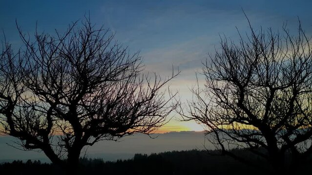 Drone flying into the sunrise in close proximity to silhouette trees in central Switzerland.