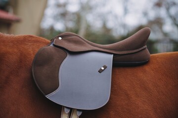 brown jump saddle on a red horse side