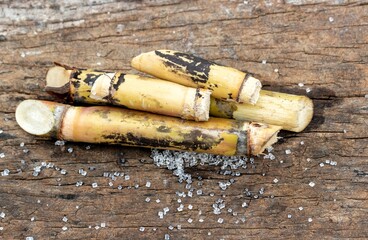 Sugarcane and Sugar Isolate on Wooden Background