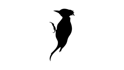 woodpecker silhouette