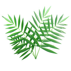 3d tropical leaves