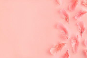 Romantic creative pattern with pink feathers on pastel pink background. Retro fashion aesthetic feather concept. Minimal romantic cosmetic idea with copy space.
