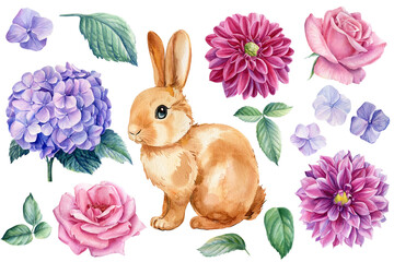 Bunny and flowers. Set floral elements on an isolated white background, watercolor illustration, cute rabbit, hand drawn