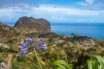 Madeira trip