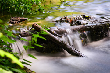 Rock thresholds on the Tanew River flowing through Roztocze