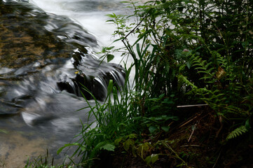 Rock thresholds on the Tanew River flowing through Roztocze