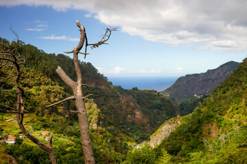 Madeira trip