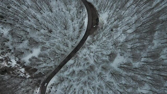Aerial view of a serpentine road crossing a forest in wintertime with snow on Mount Terminio, Serino, Avellino, Irpinia, Campania, Italy.