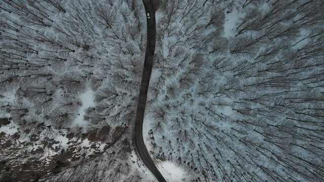 Aerial view of a serpentine road crossing a forest in wintertime with snow on Mount Terminio, Serino, Avellino, Irpinia, Campania, Italy.