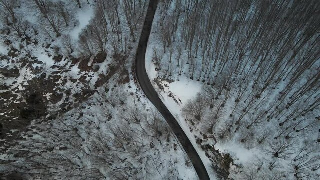 Aerial view of a serpentine road crossing a forest in wintertime with snow on Mount Terminio, Serino, Avellino, Irpinia, Campania, Italy.