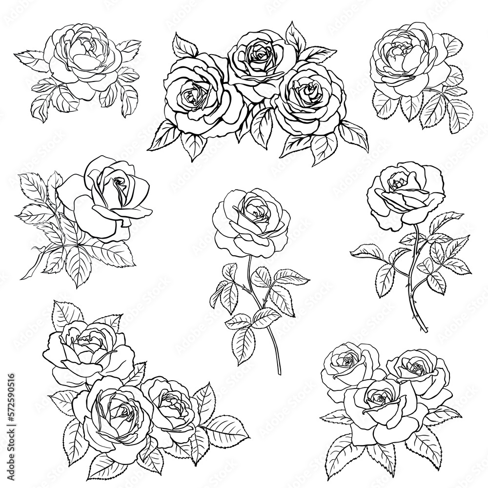 Canvas Prints set rose sketch. black outline on white background. vector illustration.