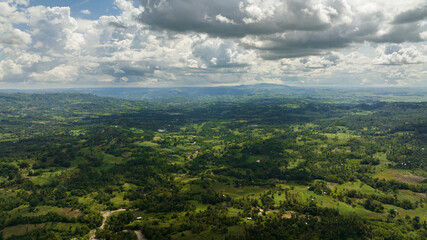 Farmland with growing crops of rice, vegetables and sugar cane in a mountain valley. Negros, Philippines